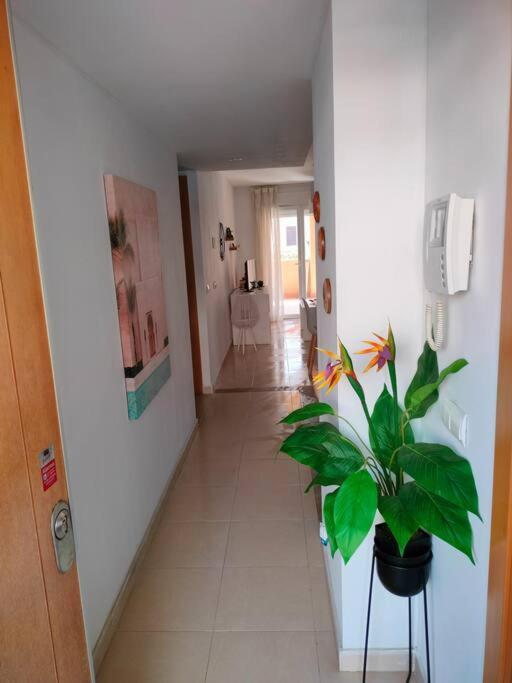 Apartamento Bajo Con Jardin A Pie De Playa Y Piscina Comunitaria Con Jacuzzi Playas de Vera Exterior foto